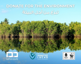 Donate For The Environment